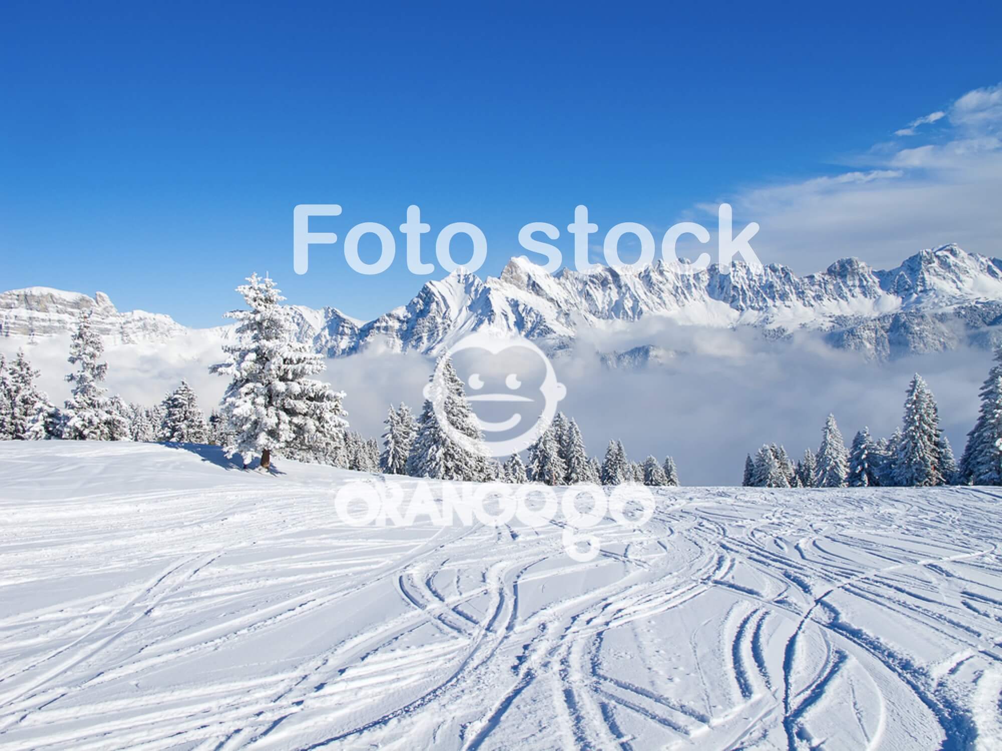Scuola Sci Dolomiti Cortina